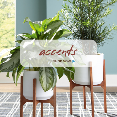 shop accents